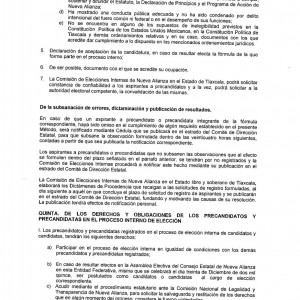 convocatoria diputaciones Proceso Interno Nueva Alianza Tlax (4)